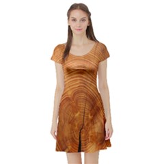 Annual Rings Tree Wood Short Sleeve Skater Dress by artworkshop