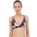 American-eagle- Clip-art Classic Banded Bikini Top View1