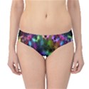 Pride Mandala Hipster Bikini Bottoms View1