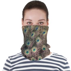 Bird-peacock Face Seamless Bandana (adult)