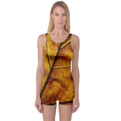 Leaf Leaf Veins Fall One Piece Boyleg Swimsuit by artworkshop