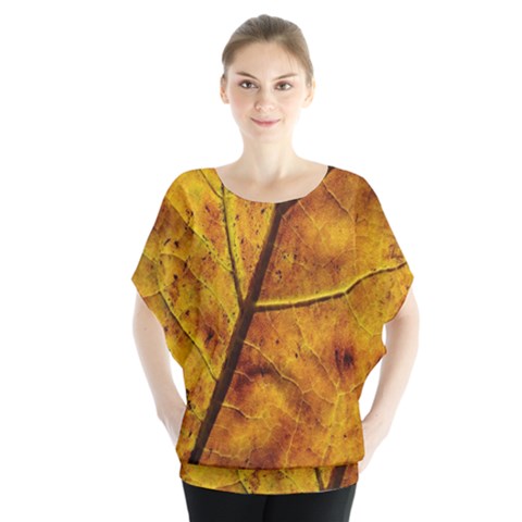 Leaf Leaf Veins Fall Batwing Chiffon Blouse by artworkshop