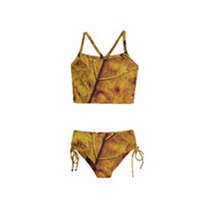 Leaf Leaf Veins Fall Girls  Tankini Swimsuit by artworkshop