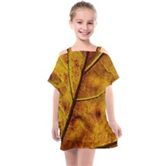 Leaf Leaf Veins Fall Kids  One Piece Chiffon Dress by artworkshop