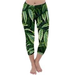 Leaves Foliage Twig Bush Plant Capri Winter Leggings  by artworkshop