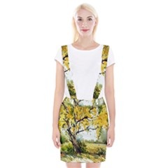 Landscape Painting Meadow Garden Braces Suspender Skirt