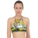 Landscape Painting Meadow Garden Racer Front Bikini Top View1