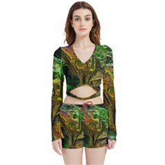 Chameleon Reptile Lizard Animal Velvet Wrap Crop Top And Shorts Set by Wegoenart