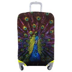 Beautiful Peacock Feather Luggage Cover (medium) by Jancukart