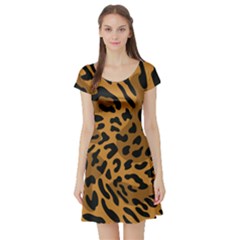 Leopard Print Jaguar Dots Brown Short Sleeve Skater Dress by ConteMonfreyShop