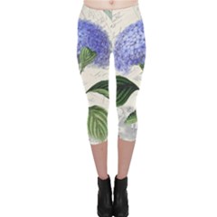 Vintage Shabby Chic Dragonfly Capri Leggings  by Wegoenart