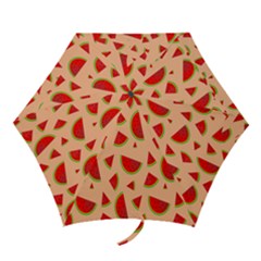 Fruit-water Melon Mini Folding Umbrellas by nateshop