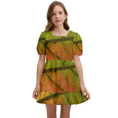 Leaf Autumn Fall Season Macro Kids  Short Sleeve Dolly Dress