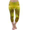 Hieroglyphic Egypt Egyptian Capri Winter Leggings  View1