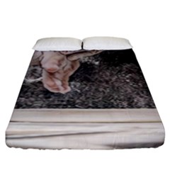 Let`s Make Pizza/bread Fitted Sheet (king Size) by ConteMonfrey