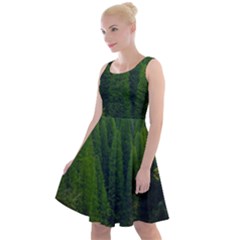 Forest Scenery Nature Trees Woods Knee Length Skater Dress by danenraven