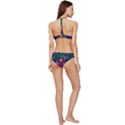 Pattern Nature Design Banded Triangle Bikini Set View4