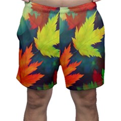 Leaves Foliage Autumn Nature Forest Fall Men s Shorts