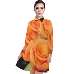 Color Of Desire Long Sleeve Chiffon Shirt Dress