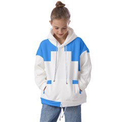 Akershus Flag Kids  Oversized Hoodie by tony4urban