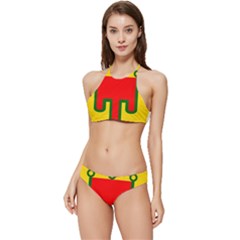 Auvergne Flag Banded Triangle Bikini Set