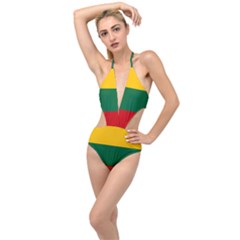 Lithuania Plunging Cut Out Swimsuit