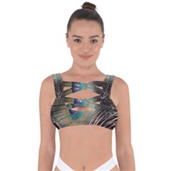 Peacock Bandaged Up Bikini Top by StarvingArtisan