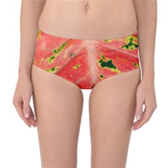 Aglonema Leaf Plant Pattern Flora Mid-waist Bikini Bottoms