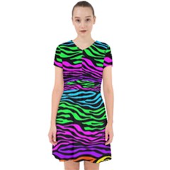 Colorful Zebra Adorable In Chiffon Dress by Angelandspot