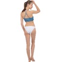 White And Blue Brick Wall Racer Front Bikini Top View2