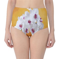 Boards Decoration Flower Flower Room Classic High-waist Bikini Bottoms