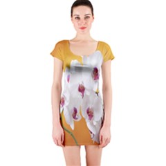 Boards Decoration Flower Flower Room Short Sleeve Bodycon Dress by artworkshop