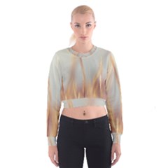 Nature Plants Color Cropped Sweatshirt