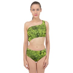 Botanical Motif Plants Detail Photography Spliced Up Two Piece Swimsuit by dflcprintsclothing