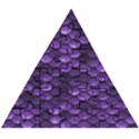 Purple Scales! Wooden Puzzle Triangle View1