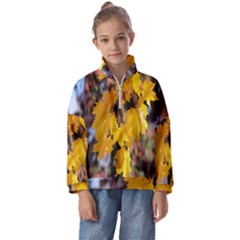 Amazing Arrowtown Autumn Leaves Kids  Half Zip Hoodie by artworkshop