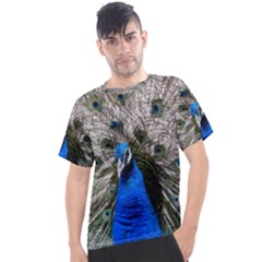 Peacock Bird Animal Feather Nature Colorful Men s Sport Top by Ravend