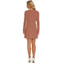 Soft Brown	 - 	Long Sleeve Deep V Mini Dress View4