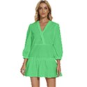 Algae Green	 - 	V-Neck Placket Mini Dress View1