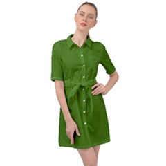 Light Seaweed Green	 - 	belted Shirt Dress by ColorfulDresses