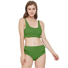 Light Seaweed Green	 - 	frilly Bikini Set by ColorfulSwimWear