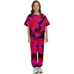 Leaves Purple Autumn Evening Sun Abstract Kids  Tee And Pants Sports Set