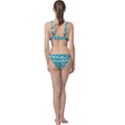 Teal And White Owl Pattern Classic Banded Bikini Set  View2