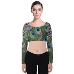 Peacock Bird Feather Colourful Velvet Long Sleeve Crop Top by Jancukart