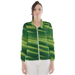 Green-01 Women s Windbreaker by nateshop