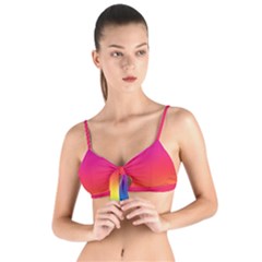 Spectrum Tie Up Cut Bikini Top by nateshop