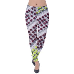 Field Agriculture Farm Stripes Diagonal Pattern Velvet Leggings