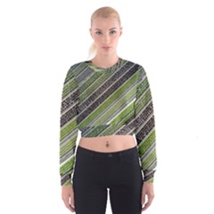 Field Agriculture Farm Stripes Diagonal Cropped Sweatshirt by Jancukart