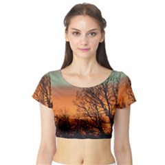 Twilight Sunset Sky Evening Clouds Short Sleeve Crop Top by Amaryn4rt