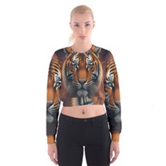 Tiger Animal Feline Predator Portrait Carnivorous Cropped Sweatshirt by Uceng